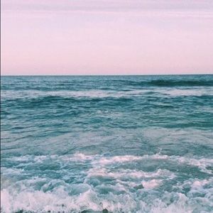 Meet your Posher, Sophie